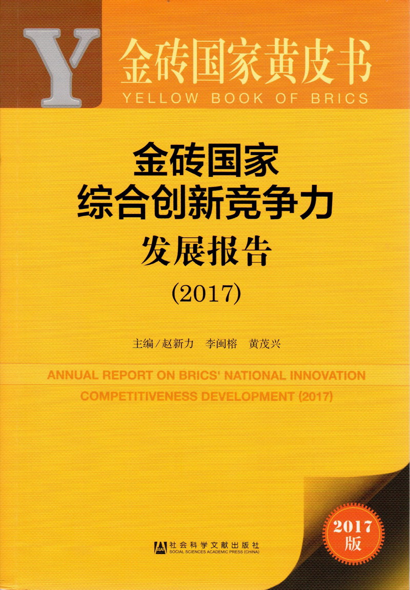 美女被大鸡巴狂操小穴91视频金砖国家综合创新竞争力发展报告（2017）